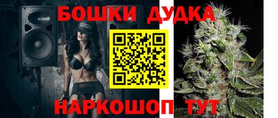 прущие грибы Будённовск