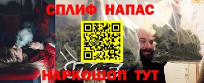 прущие грибы Будённовск