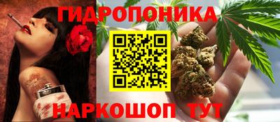 прущие грибы Будённовск