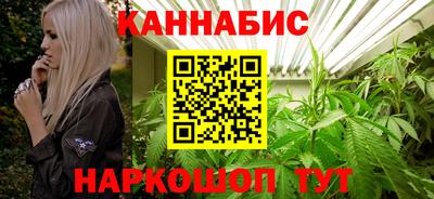 прущие грибы Будённовск