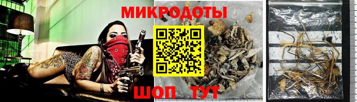 Галлюциногенные грибы MAGIC MUSHROOMS  Вход с VPN  Нижнекамск 